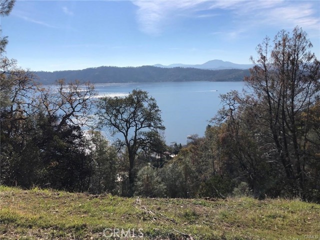 11705 LAKEVIEW DRIVE CLEARLAKE OAKS, CA 95423