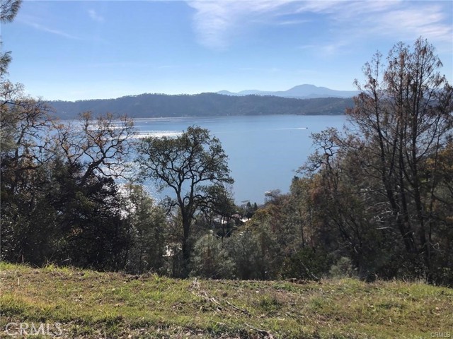 11725 LAKEVIEW DRIVE CLEARLAKE OAKS, CA 95423
