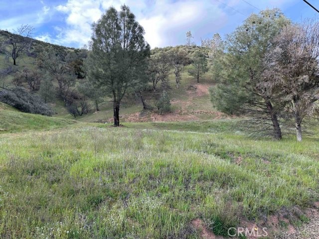 1982 NEW LONG VALLEY ROAD CLEARLAKE OAKS, CA 95423