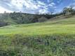 1982 NEW LONG VALLEY ROAD CLEARLAKE OAKS, CA 95423