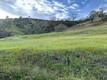 1982 NEW LONG VALLEY ROAD CLEARLAKE OAKS, CA 95423