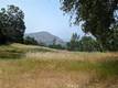 23485 MORGAN VALLEY ROAD LOWER LAKE, CA 95457