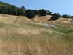 23485 MORGAN VALLEY ROAD LOWER LAKE, CA 95457