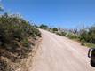 23485 MORGAN VALLEY ROAD LOWER LAKE, CA 95457