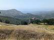 23485 MORGAN VALLEY ROAD LOWER LAKE, CA 95457