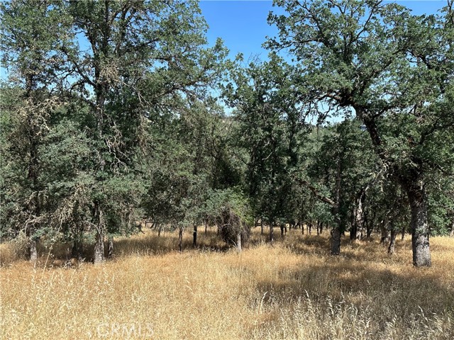 18051 VISTA POINT COURT HIDDEN VALLEY LAKE, CA 95467