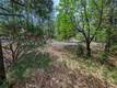 8833 FOX DRIVE COBB, CA 95426