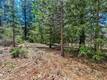 8833 FOX DRIVE COBB, CA 95426