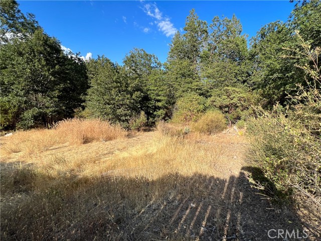 9204 DIAMOND DUST TRAIL KELSEYVILLE, CA 95451
