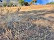 8187 N. HEIGHTS DR. KELSEYVILLE, CA 95451
