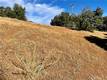 8187 N. HEIGHTS DR. KELSEYVILLE, CA 95451