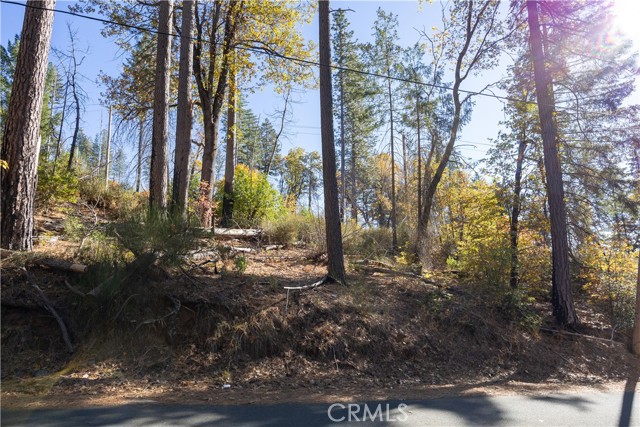 10991 GIFFORD SPRINGS ROAD COBB, CA 95426