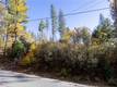 10971 GIFFORD SPRINGS ROAD COBB, CA 95426