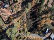10971 GIFFORD SPRINGS ROAD COBB, CA 95426