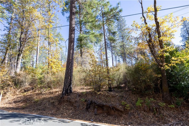 10981 GIFFORD SPRINGS ROAD COBB, CA 95426