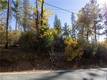 10981 GIFFORD SPRINGS ROAD COBB, CA 95426