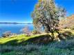 7162 E HIGHWAY 20 LUCERNE, CA 95458