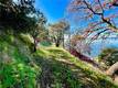 7162 E HIGHWAY 20 LUCERNE, CA 95458
