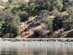 7162 E HIGHWAY 20 LUCERNE, CA 95458