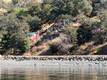 7162 E HIGHWAY 20 LUCERNE, CA 95458