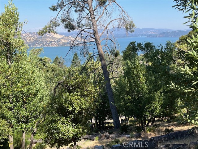 3599 PINE TERRACE DRIVE KELSEYVILLE, CA 95451