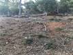 3599 PINE TERRACE DRIVE KELSEYVILLE, CA 95451