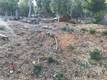 3599 PINE TERRACE DRIVE KELSEYVILLE, CA 95451