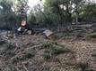 3607 PINE TERRACE DRIVE KELSEYVILLE, CA 95451