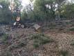 3607 PINE TERRACE DRIVE KELSEYVILLE, CA 95451