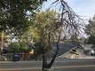 3607 PINE TERRACE DRIVE KELSEYVILLE, CA 95451