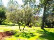11083 WHEELER KELSEYVILLE, CA 95451