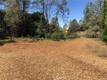 3643 GLEBE ROAD KELSEYVILLE, CA 95451