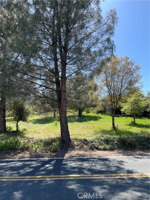 10715 POINT LAKEVIEW ROAD KELSEYVILLE, CA 95451