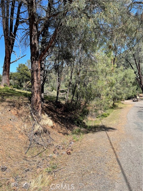 4736 KAWEAH ROAD KELSEYVILLE, CA 95451