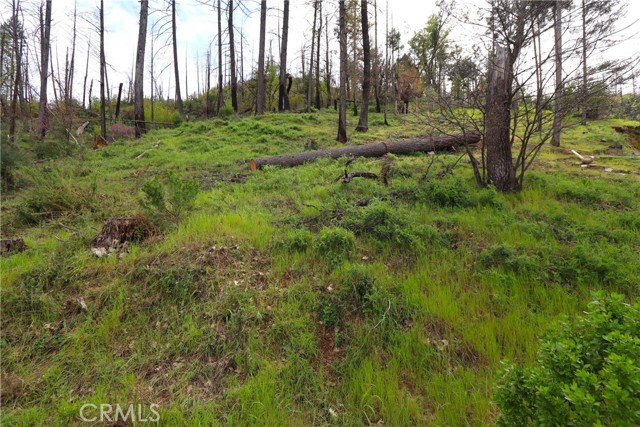 11541 ANDERSON SPRINGS ROAD MIDDLETOWN, CA 95461