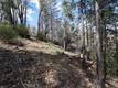 11256 LOCH LOMOND ROAD LOCH LOMOND, CA 95461
