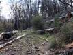 11260 LOCH LOMOND ROAD LOCH LOMOND, CA 95426