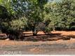 3582 CRESTWOOD DRIVE KELSEYVILLE, CA 95451
