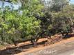 3582 CRESTWOOD DRIVE KELSEYVILLE, CA 95451