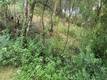 7248 HIGH STREET NICE, CA 95464