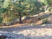 8431 MOUNTAIN CREST DRIVE KELSEYVILLE, CA 95451