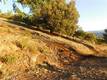 8431 MOUNTAIN CREST DRIVE KELSEYVILLE, CA 95451