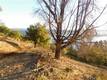8431 MOUNTAIN CREST DRIVE KELSEYVILLE, CA 95451