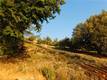 8431 MOUNTAIN CREST DRIVE KELSEYVILLE, CA 95451