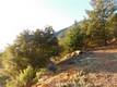 8431 MOUNTAIN CREST DRIVE KELSEYVILLE, CA 95451