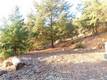 8431 MOUNTAIN CREST DRIVE KELSEYVILLE, CA 95451