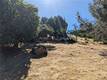 3300 WESTRIDGE DRIVE KELSEYVILLE, CA 95451
