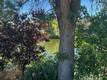 13218 EBBTIDE CLEARLAKE OAKS, CA 95423