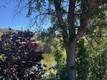 13218 EBBTIDE CLEARLAKE OAKS, CA 95423