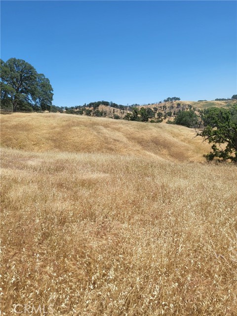 21500 MORGAN VALLEY ROAD LOWER LAKE, CA 95457